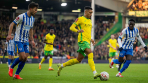 Norwich City vs Brighton (22:00 – 11/01) | Xem lại trận đấu